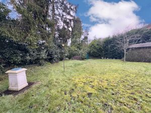 Photo 2- click for photo gallery